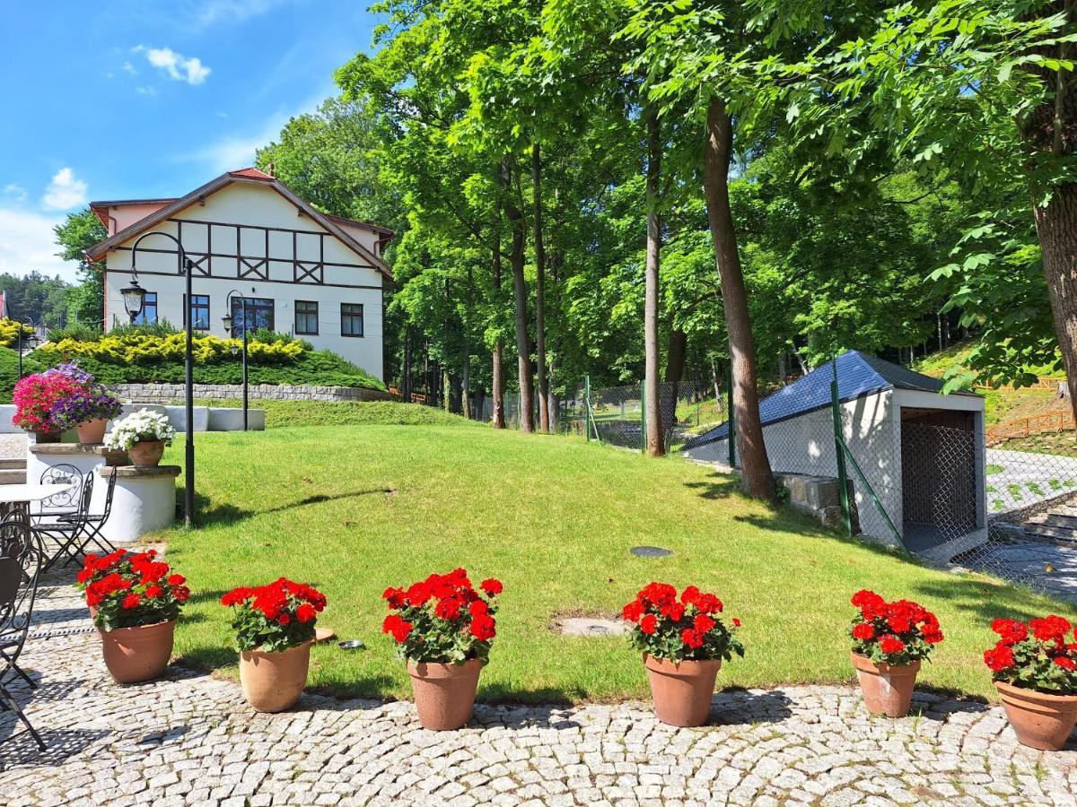 Pensjonat Petite Charlotta Jedlina-Zdroj Exteriér fotografie